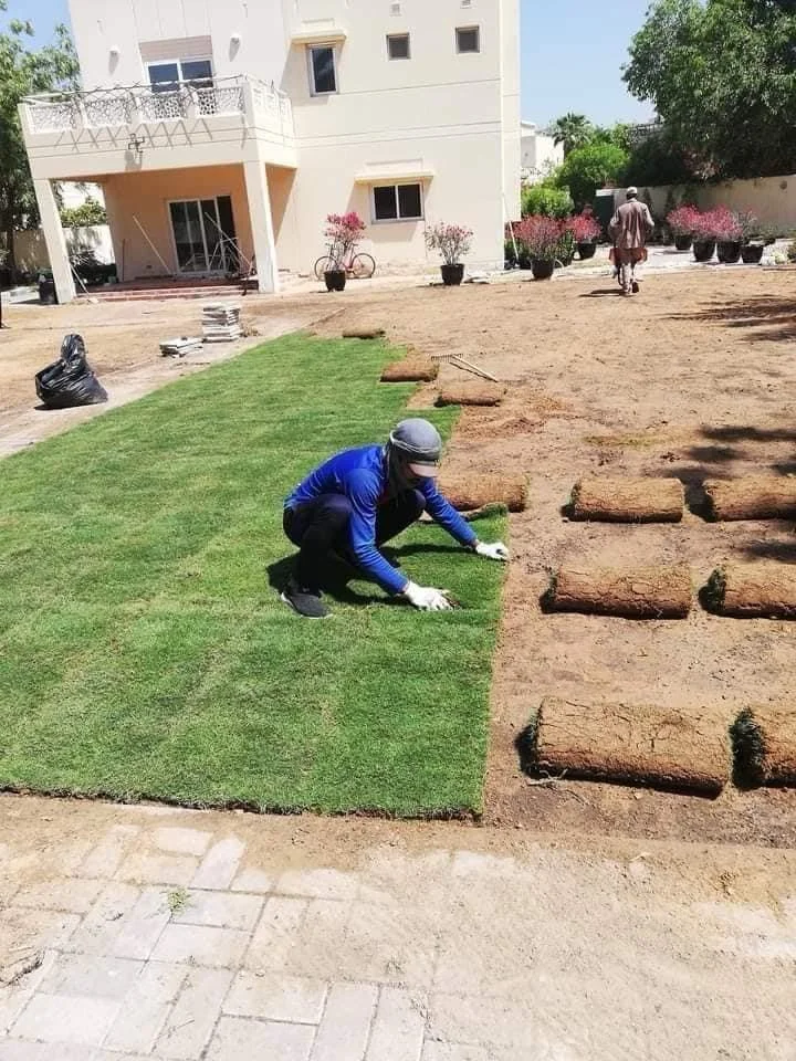 natural grass4