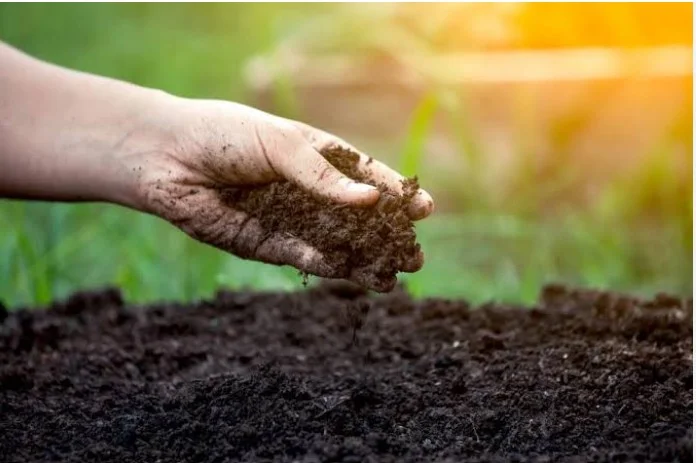 fertilizing services